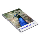 Carnet Closeudo de la tête de paon (Côté Droit)
