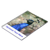 Carnet Closeudo de la tête de paon (Côté gauche)