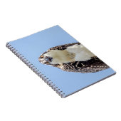Carnet Closeup d'un balbuzard juvénile (Côté Droit)