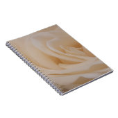 Carnet Closeup Rose couleur crème (Côté Droit)