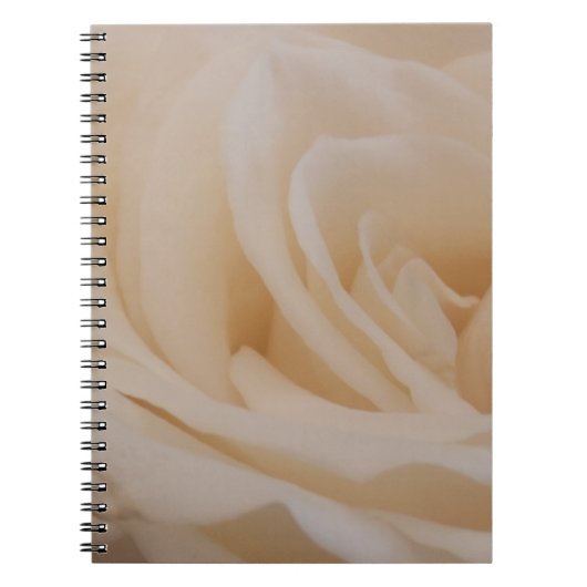 Carnet Closeup Rose couleur crème (Devant)
