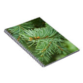 Carnet Closeuse de pin (Côté Droit)