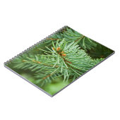 Carnet Closeuse de pin (Côté gauche)