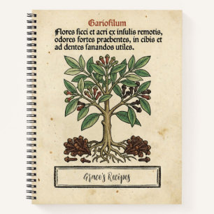 Carnet Clous de girofle de Moluque Recette botanique médi
