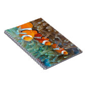 Carnet Clownfish (Côté Droit)
