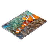 Carnet Clownfish (Côté gauche)