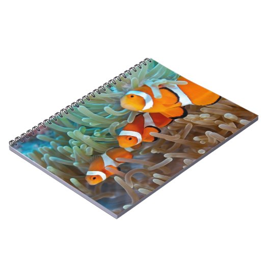 Carnet Clownfish (Côté gauche)
