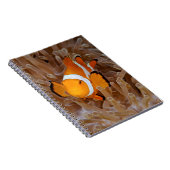Carnet Clownfish - Molokai (Côté Droit)