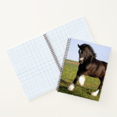 Carnet Clydesdale Horse (Intérieur)