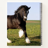 Carnet Clydesdale Horse (Dos)