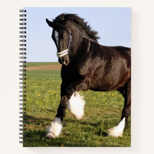 Carnet Clydesdale Horse (Devant)