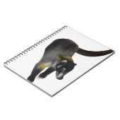 Carnet Coati (Côté gauche)
