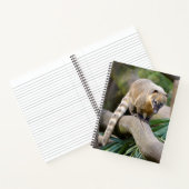 Carnet Coati à anneaux sur branche (Intérieur)