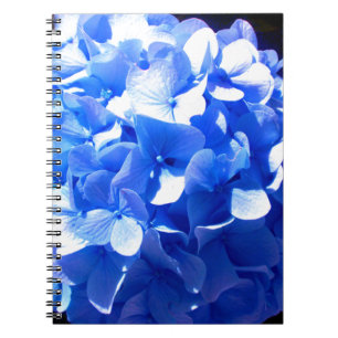 Carnet Cobalt bleu floral élégant bleu hydrangées