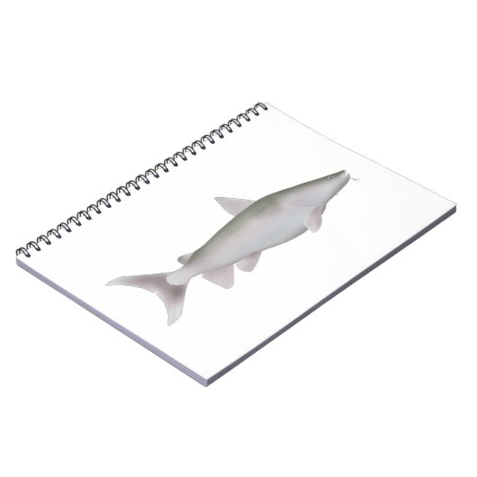 Carnet Cobbler Argent (Côté gauche)