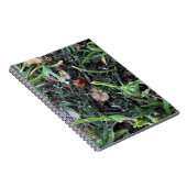 Carnet Coccinelle (Côté Droit)