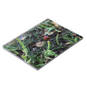 Carnet Coccinelle (Côté gauche)