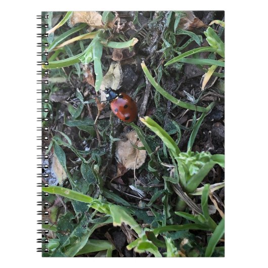 Carnet Coccinelle (Devant)