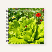 Carnet Coccinelle Chanceuse (Devant)