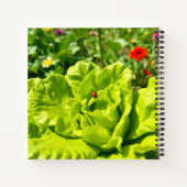 Carnet Coccinelle Chanceuse (Dos)