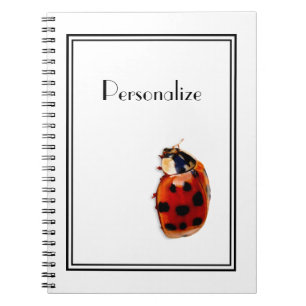 Carnet Coccinelle repérée rouge et noire chic avec le n