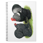 Carnet Cochins : crayonnés d'argent (Devant)