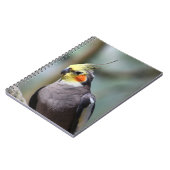 Carnet Cockatiel (Côté gauche)