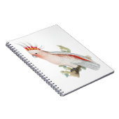 Carnet Cockatoo Art Vintage (Côté Droit)
