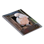 Carnet Cockatoo Moluccan (Côté Droit)