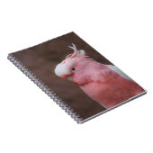 Carnet Cockatoo rose (Côté Droit)