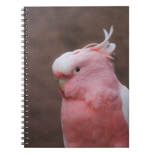 Carnet Cockatoo rose (Devant)
