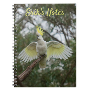 Carnet Cockatoo Spreading Wings Bird Australie