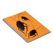 Carnet Cockroach croquant (Côté Droit)