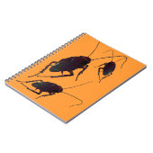 Carnet Cockroach croquant (Côté gauche)