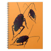 Carnet Cockroach croquant (Devant)