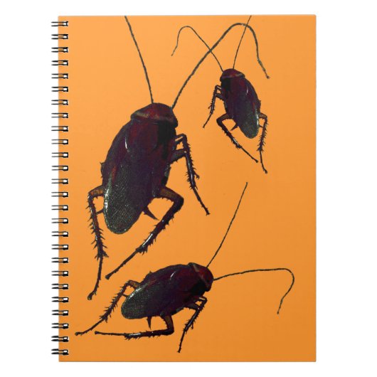 Carnet Cockroach croquant (Devant)