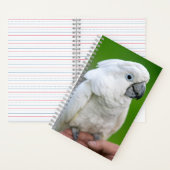 Carnet Coco blanc, perroquet parapluie, perroquet (À l'intérieur)