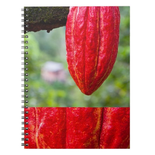 Carnet cocod (Devant)