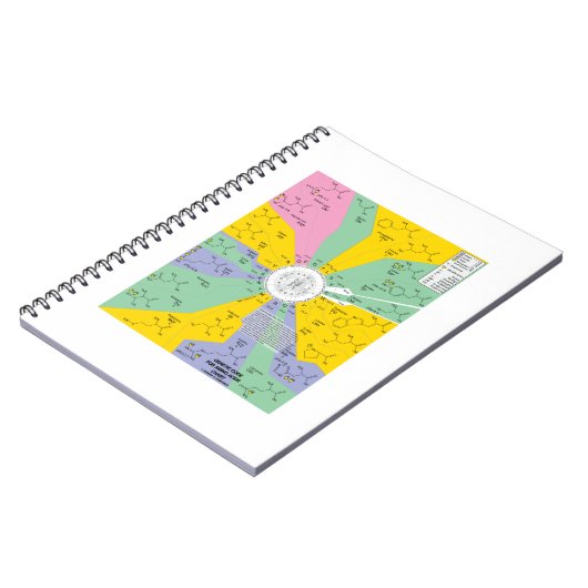 Carnet Code Génétique Pour Les Acides Aminés (Roue Graphi (Côté gauche)
