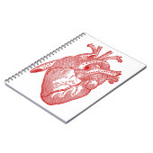 Carnet Coeur Anatomique Rouge (Côté gauche)