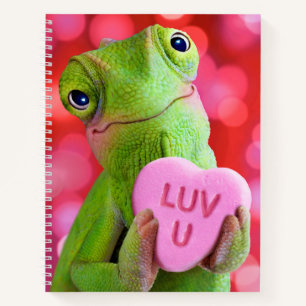 Carnet Cœur de Caméléon (Je t'aime)