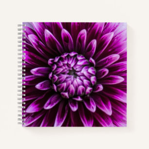 Carnet Coeur pourpre Dahlia