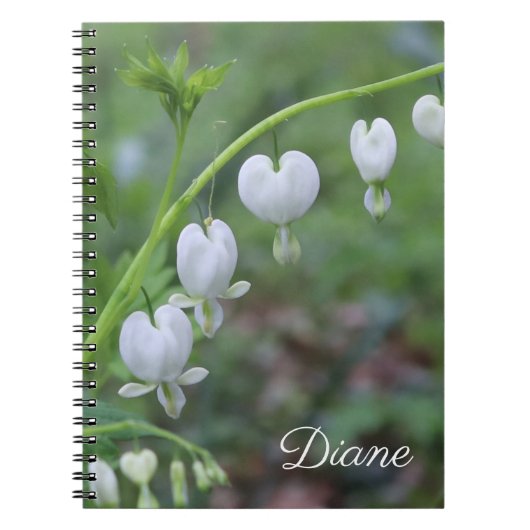 Carnet Coeurs saignants blancs Floral (Devant)