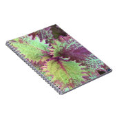Carnet Coleus (Côté Droit)