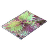 Carnet Coleus (Côté gauche)