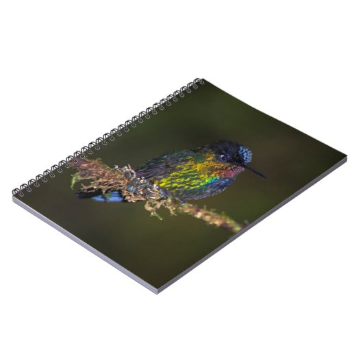 Carnet Colibri (Côté gauche)