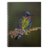 Carnet Colibri (Devant)