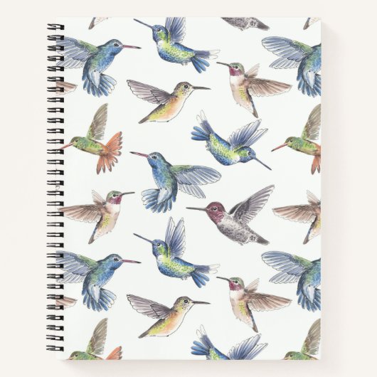 Carnet Colibri (Devant)