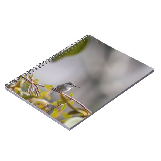 Carnet Colibri 3346 (Côté gauche)