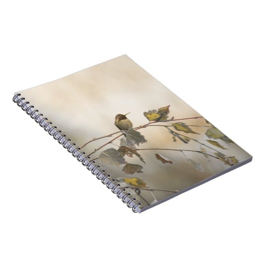 Carnet Colibri 5265 (Côté Droit)